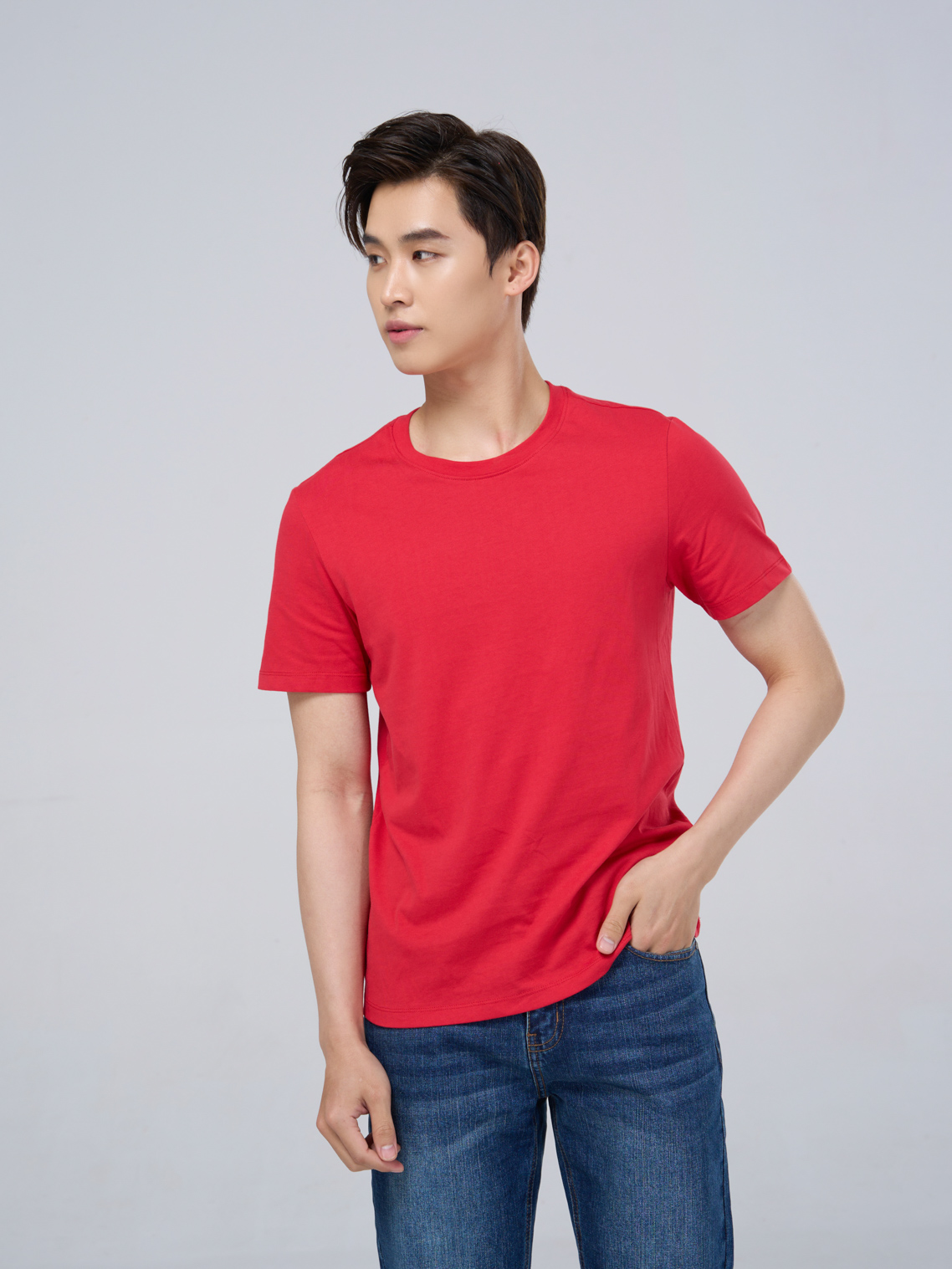 ao-t-shirt-nam-cotton-usa-phien-ban-premium