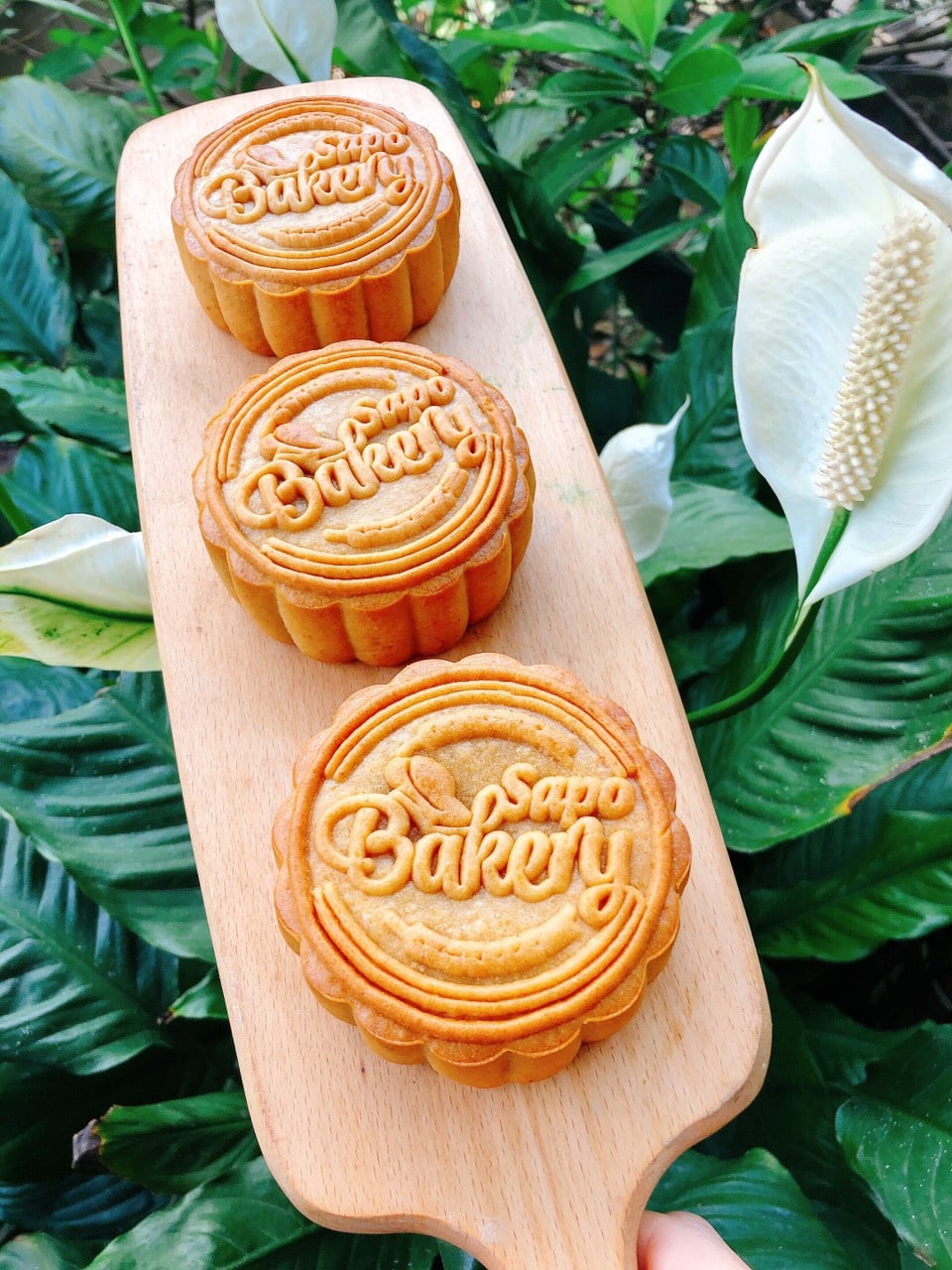 GIỚI THIỆU TOP 5 LOẠI NHÂN BÁNH TRUNG THU BÁN CHẠY NHẤT TẠI SAPO BAKERY