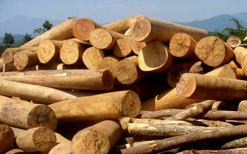 Gỗ hương (khu vực Đông Nam Á- Việt Nam, Lào, Myanmar) là gì? Đặc điểm của vân gỗ hương (khu vực Đông Nam Á).