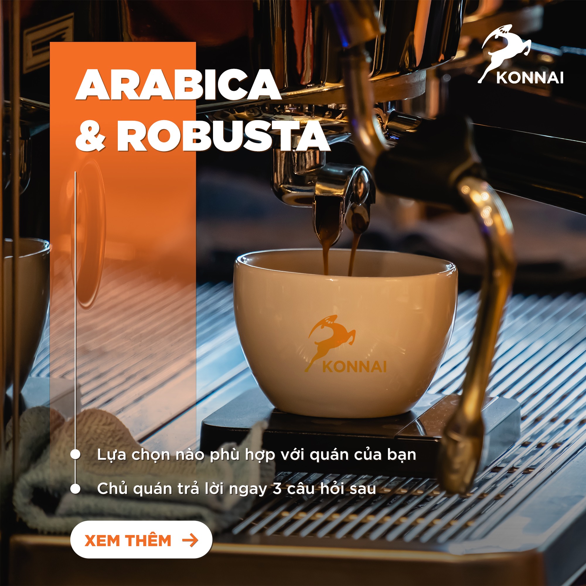 ARABICA & ROBUSTA: HẠT NÀO PHÙ HỢP ĐỂ QUÁN BÁN CHẠY - KHÁCH UỐNG GHIỀN?