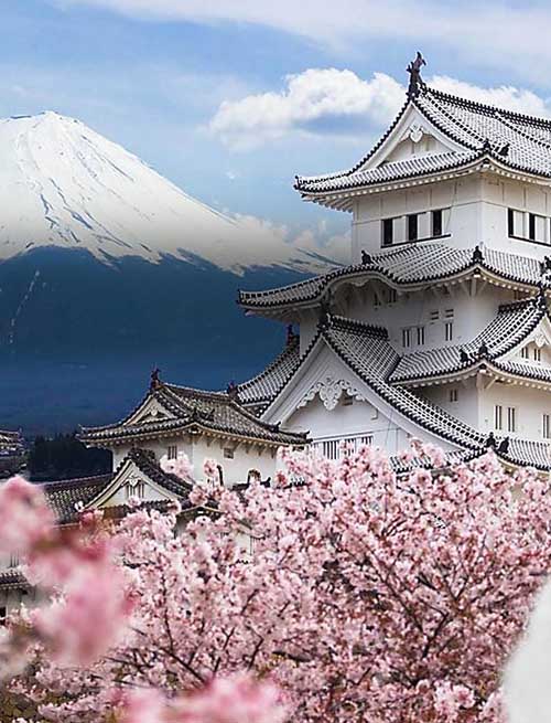 Thị trường Nhật Bản