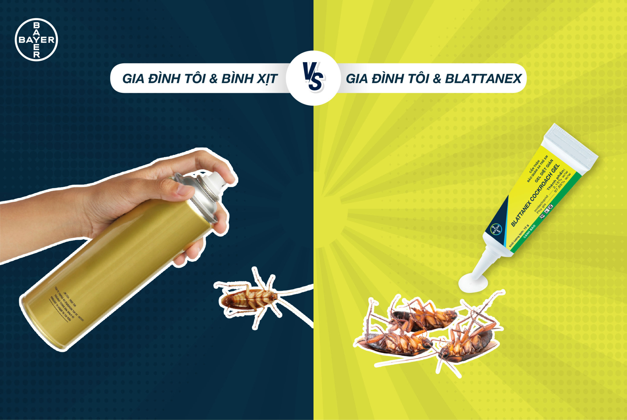 BẠN QUÁ BẬN CHO VIỆC DIỆT GIÁN? ĐÃ CÓ BLATTANEX 