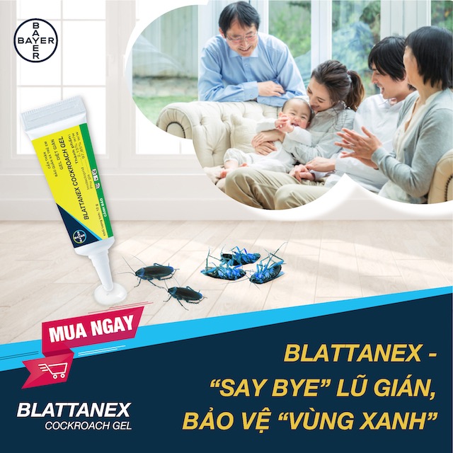 HIỆU ỨNG DOMINO TỪ BLATTANEX GIÚP BẠN LOẠI BỎ CẢ ĐÀN GIÁN, CHỈ VỚI MỘT GIỌT NHỎ!