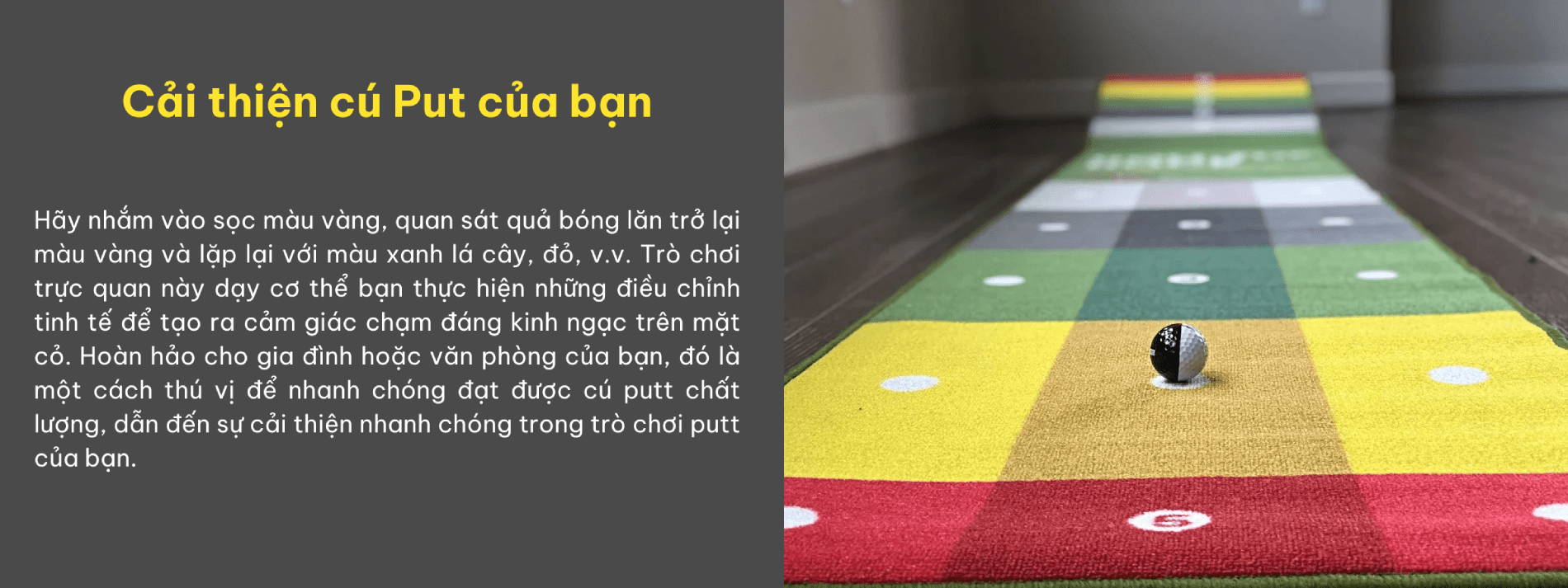 Thảm tập Putt Roll the Rock Eyeline