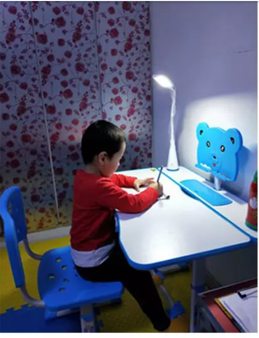 Bộ Bàn Ghế Học Sinh Cao Cấp Chống Gù Chống Cận VDTA8