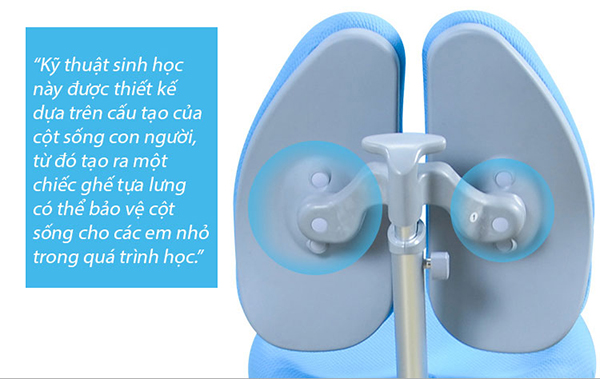 Ghế Chống Gù Lưng Cao Cấp Cho Trẻ Học Tập VDTC2