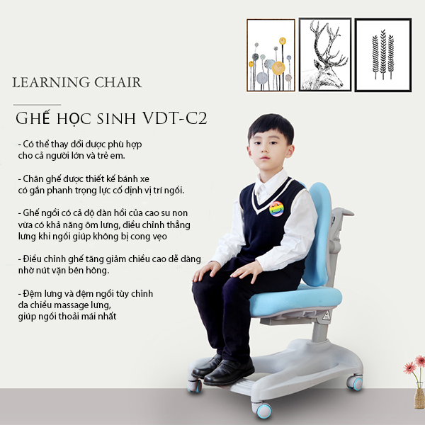 Ghế Chống Gù Lưng Cao Cấp Cho Trẻ Học Tập VDTC2