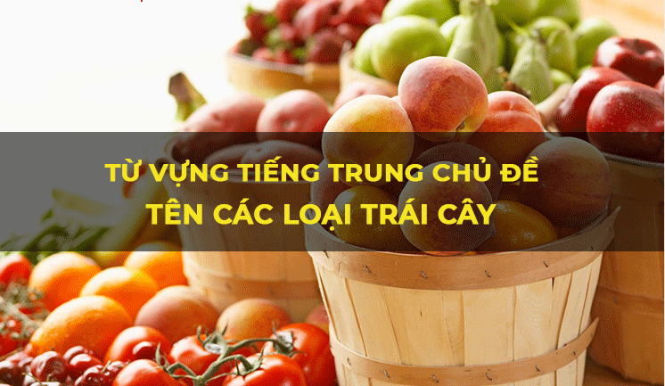 Tiếng Trung TIMES VN: Từ vựng tiếng Trung chủ đề tên các loại trái cây