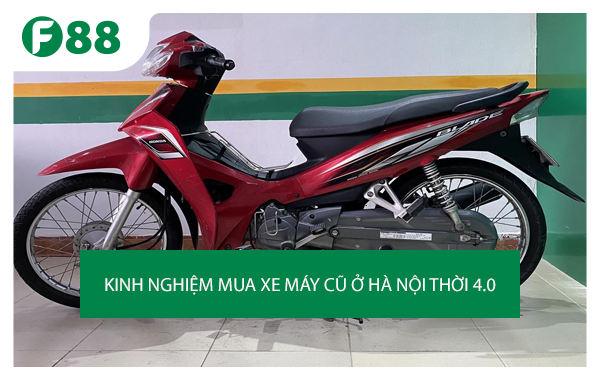 Dibao  Xe máy điện và xe 50cc uy tín hàng đầu Việt Nam