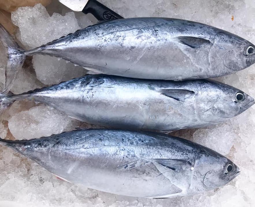 Cá Ngừ Bông-Triều Đình SeaFood | Triều Đình Seafood
