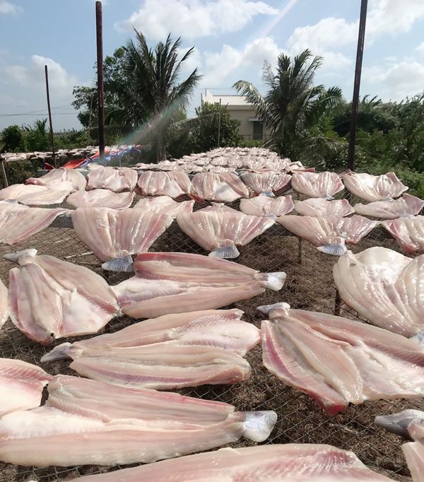 Cá Dứa Phơi Khô: Hương Vị Đặc Sản Được Yêu Thích Nhất