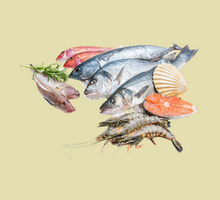 Hải Sản Đông Lạnh