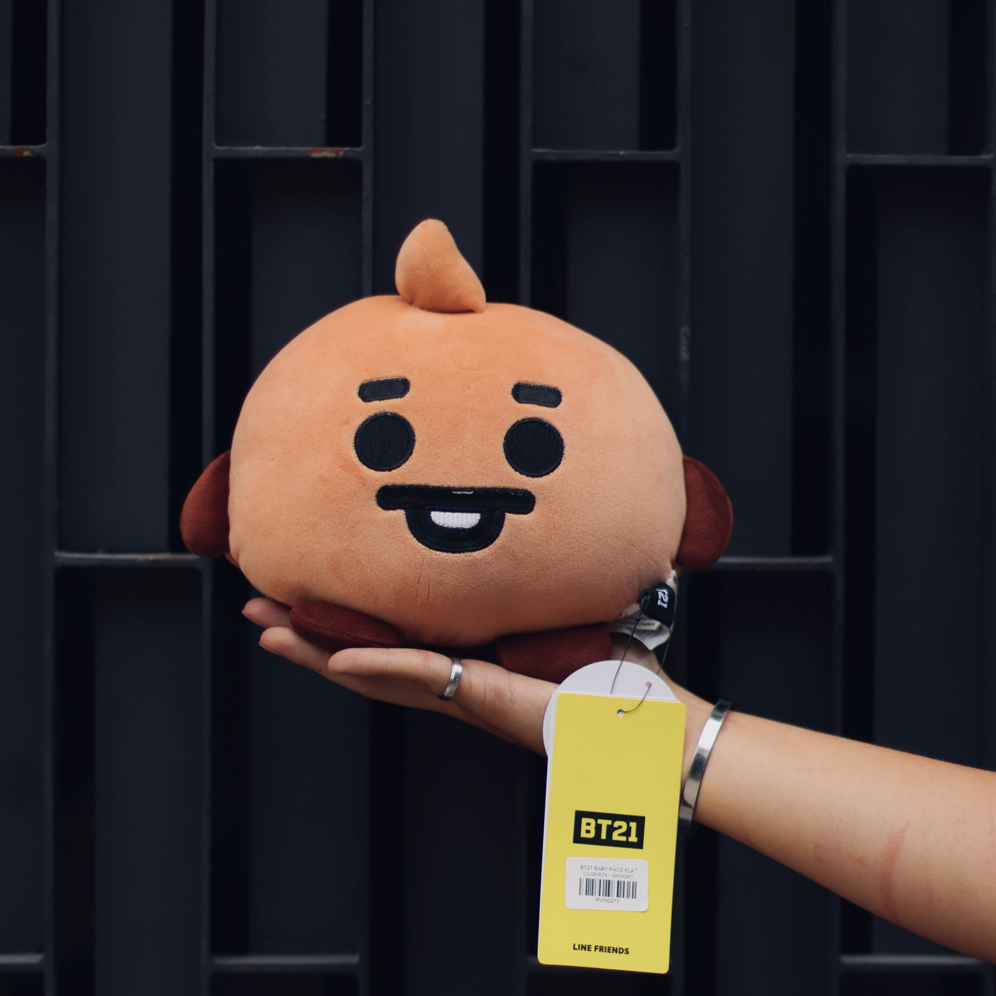 BT21 BABY FACE FLAT CUSHION