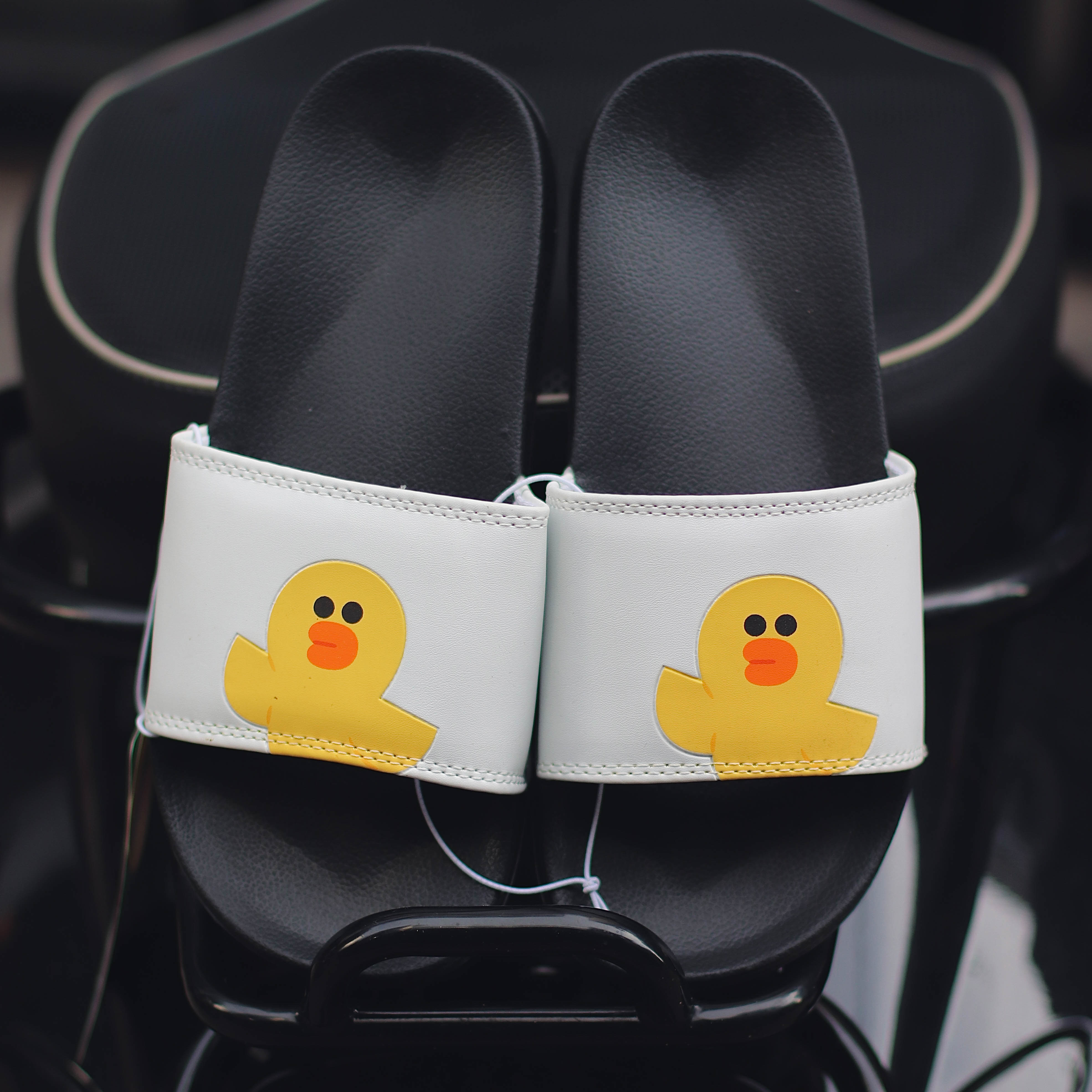 LINEFRIENDS CHARACTER SLIPPERS