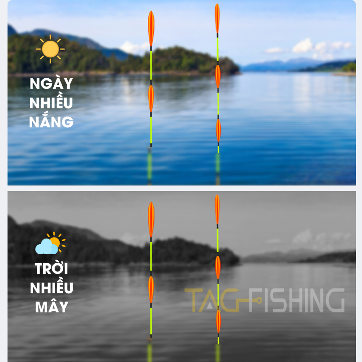Phao Câu Đài Gama-Seiko Cỏ GM-001 | TAG Fishing Việt Nam | Phân Phối Dụng  Cụ Câu Cá Thể Thao Chính Hãng Tại Việt Nam
