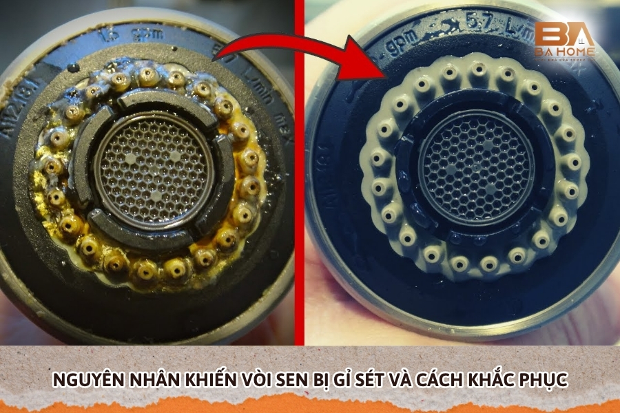 Nguyên Nhân Khiến Vòi Sen Bị Gỉ Sét Và Cách Khắc Phục