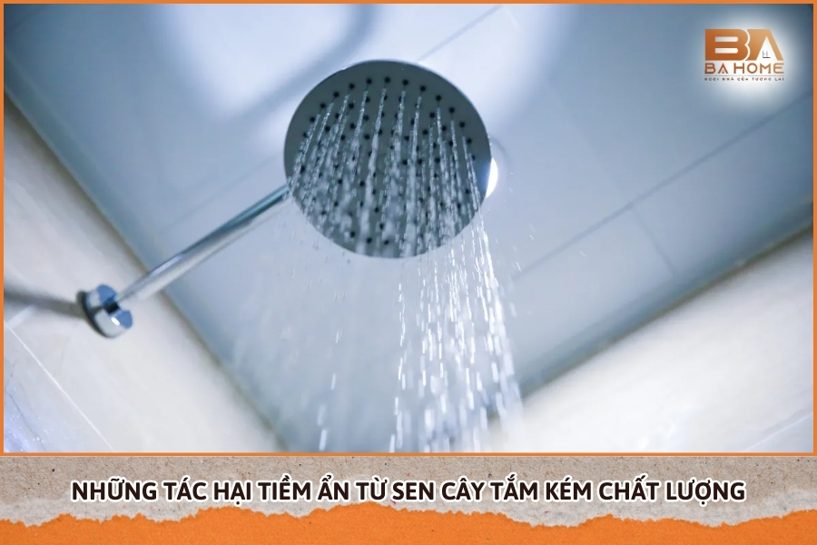 Những Tác Hại Tiềm Ẩn Từ Sen Cây Tắm Kém Chất Lượng