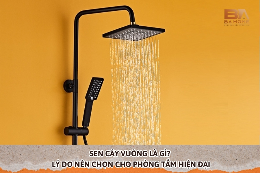 Sen Cây Vuông Là Gì? Lý Do Nên Chọn Cho Phòng Tắm Hiện Đại