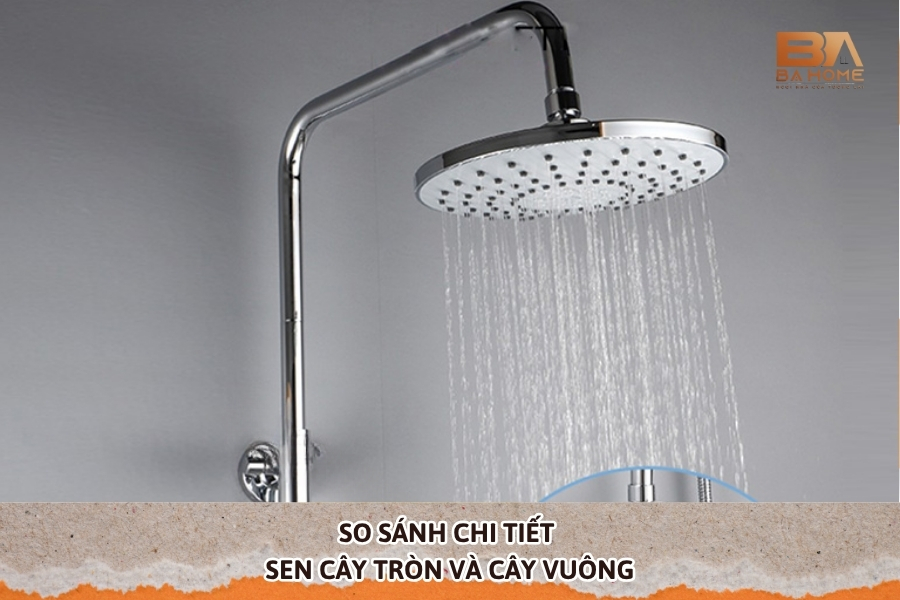 So Sánh Chi Tiết Sen Cây Tròn Và Cây Vuông