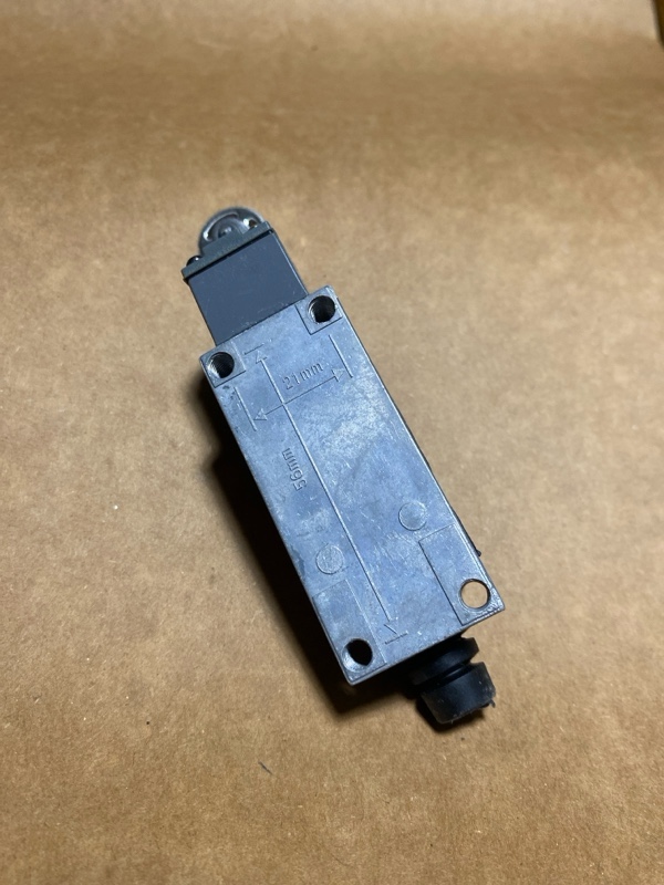 Hình ảnh thực tế OMRON D4V-8104SZ-N - chi tiết roller lever