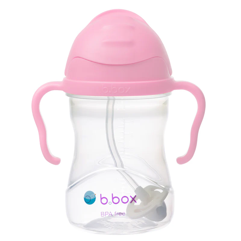 Bình nước BBox Sippy Cup (6 tháng+)