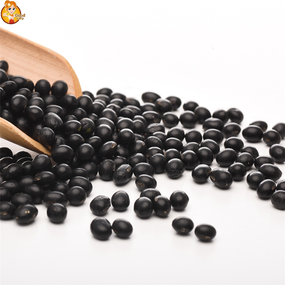 ĐẬU NÀNH ĐEN – BLACK SOYA BEAN