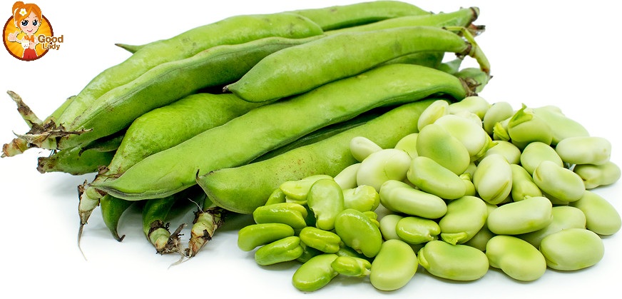 ĐẬU QUE - GREEN BEAN ĐẬU QUE - GREEN BEAN