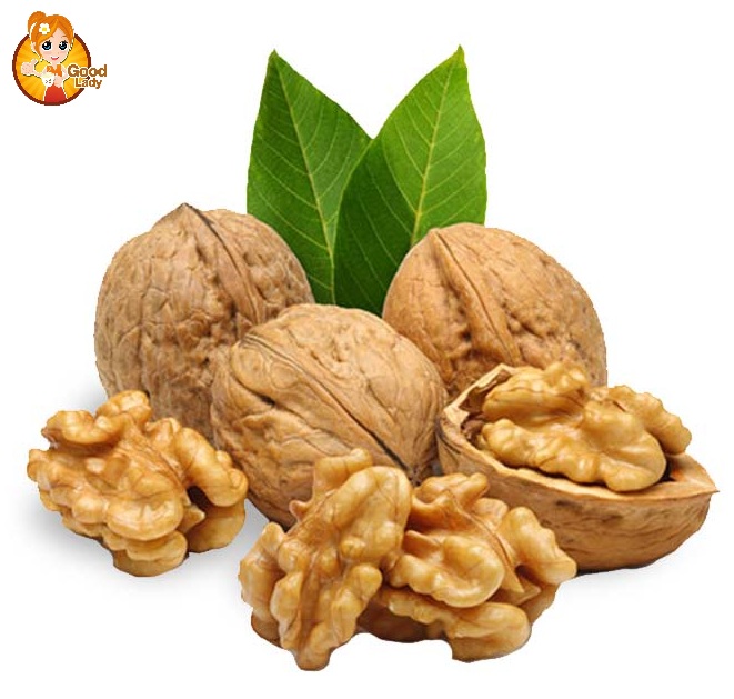 HẠT ÓC CHÓ – WALNUT