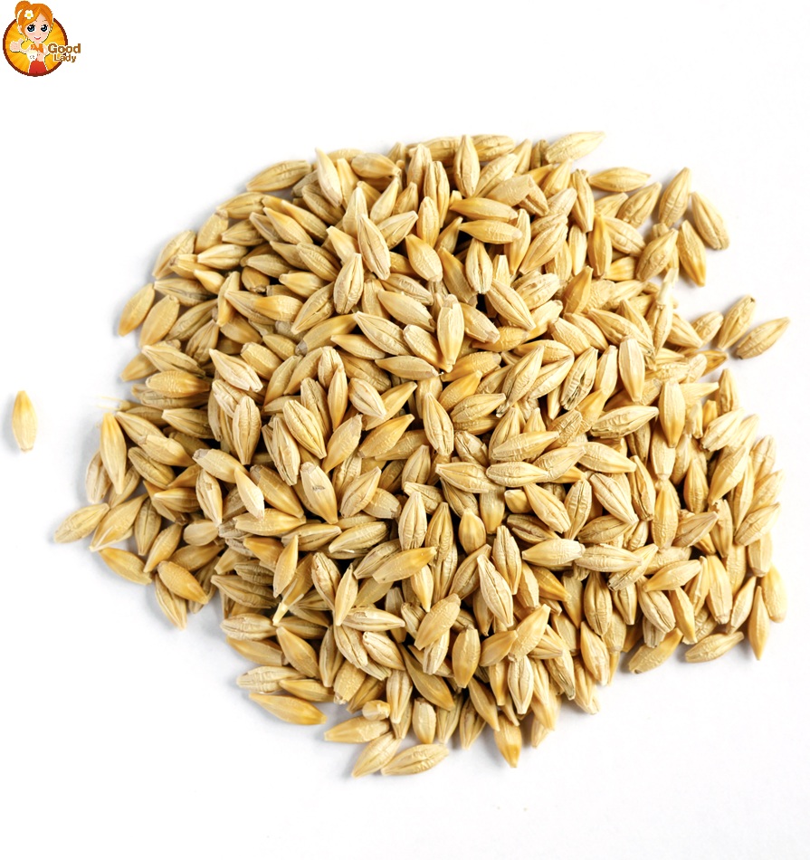 LÚA MẠCH - BARLEY LÚA MẠCH - BARLEY