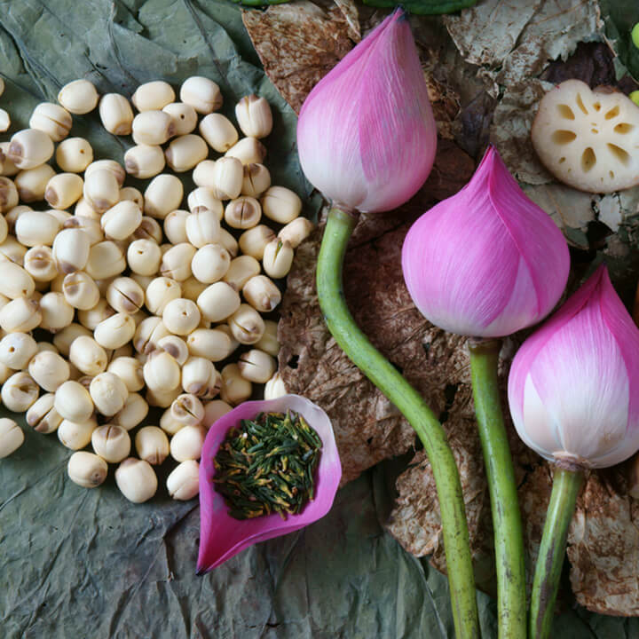 HẠT SEN – LOTUS SEED