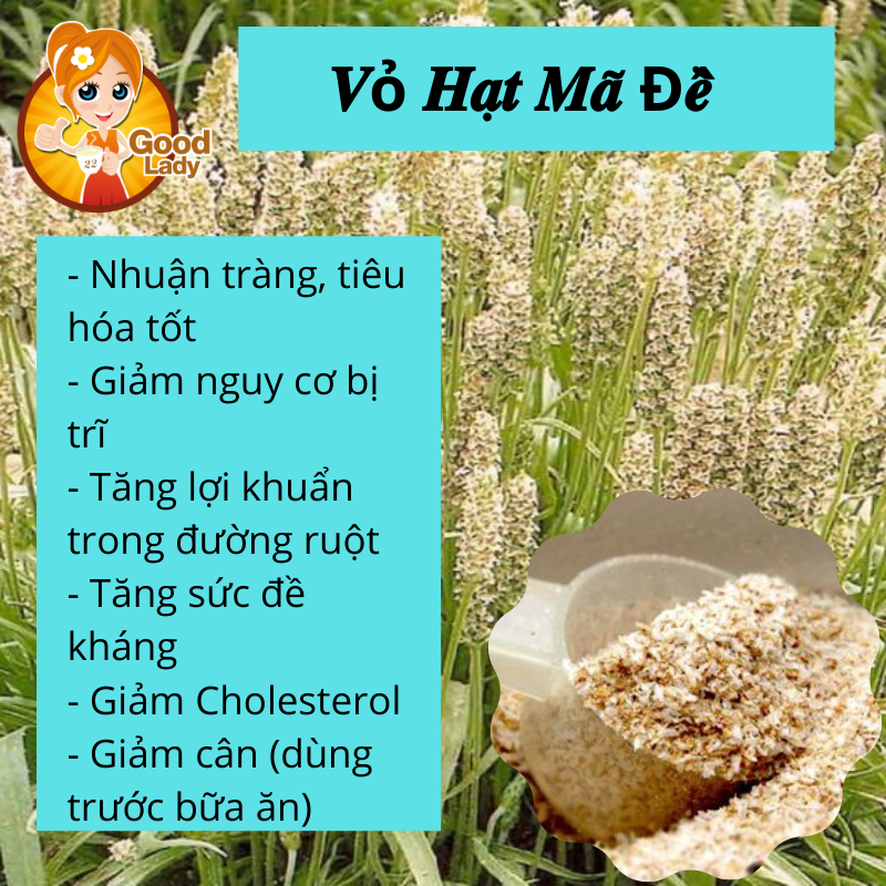 Vỏ Hạt Mã Đề - Psyllium Husk