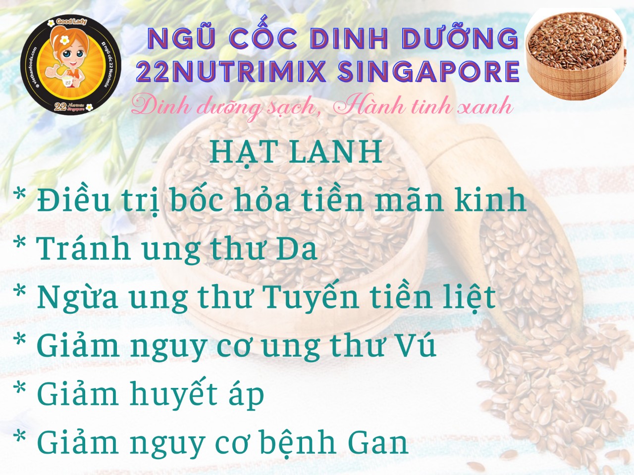 HẠT LANH - FLAXSEED