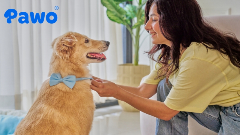 Phụ kiện thời trang ít ảnh hưởng trực tiếp sức khỏe, thẩm mỹ, có vòng đời sử dụng ngắn