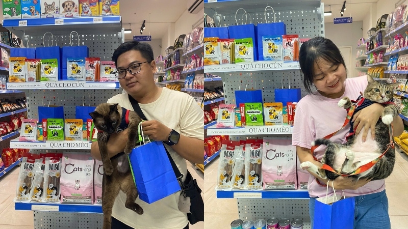 Pawo sẽ giúp bạn xây dựng môi trường sống hạnh phúc cho mèo cưng