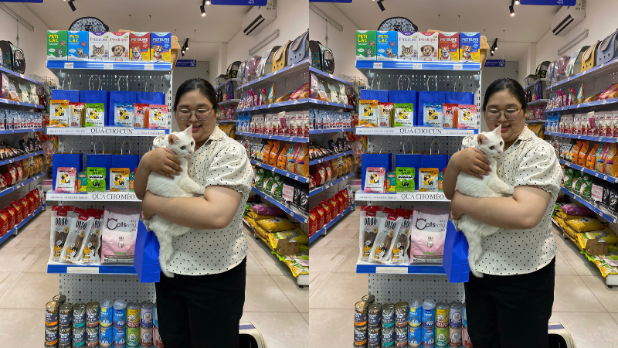 Pawo Pet Shop chuyên cung cấp các sản phẩm thiết yếu để chăm sóc mèo mang thai