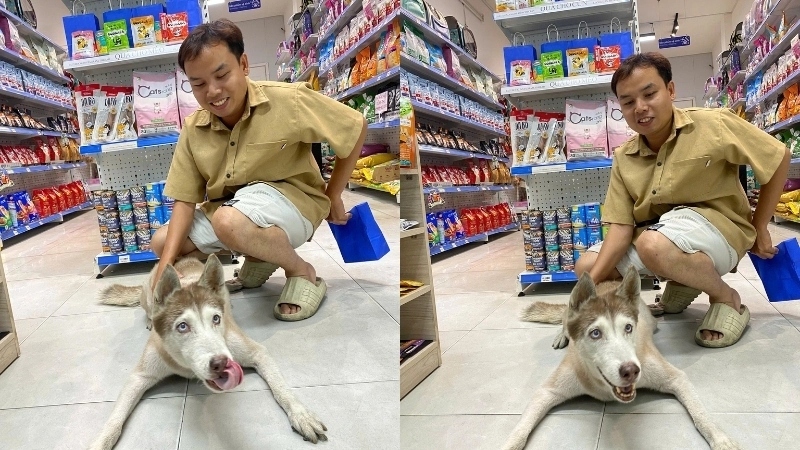 Pawo Pet Shop cung cấp đầy đủ dụng cụ chăm sóc chân chuyên nghiệp cho khách