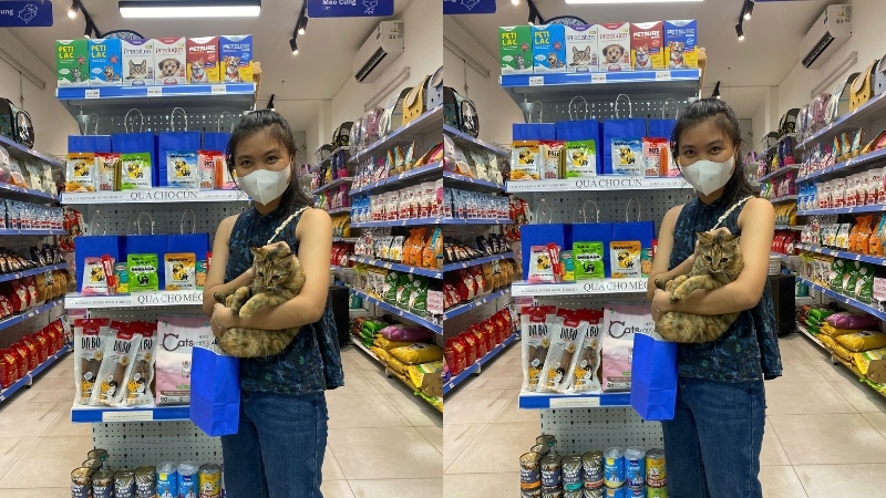 Pawo Pet Shop mang đến những giải pháp về cỏ mèo chất lượng