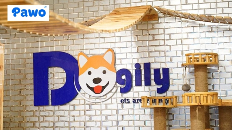 Dogily Petshop là địa chỉ được biết đến rộng rãi trong cộng đồng người yêu thích chó mèo