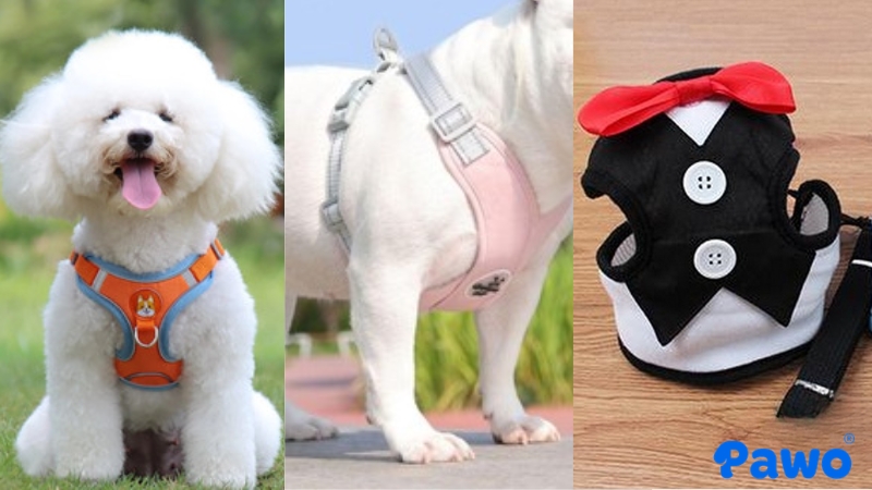 Tổng hợp các loại đai yếm (Harness) cho chó