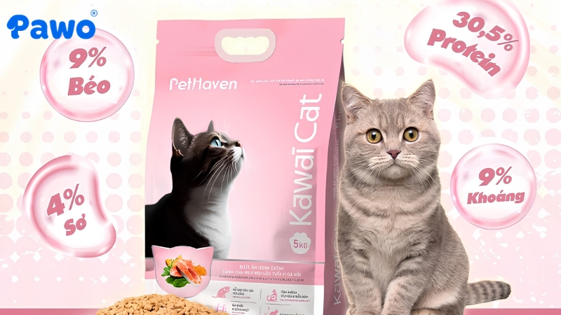 Hạt Kawaii Cat cho mèo mọi lứa tuổi