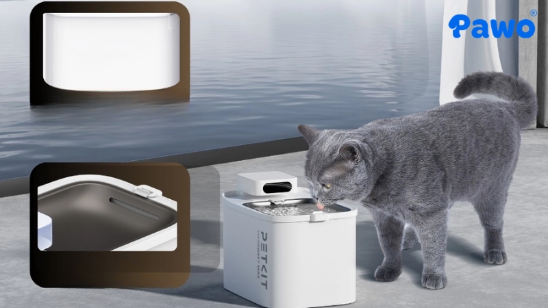Mẫu Máy lọc nước Petkit Eversweet