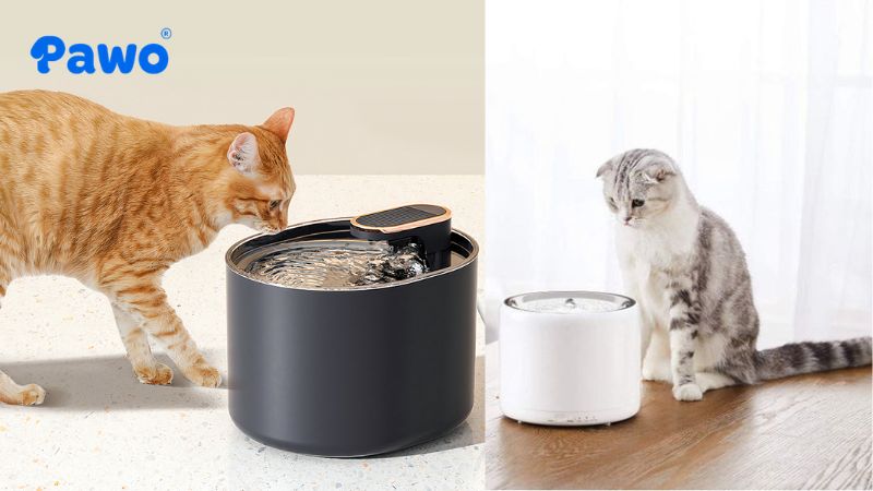 Máy lọc nước thông minh kích thích bản năng và khuyến khích thú cưng uống nhiều nước hơn