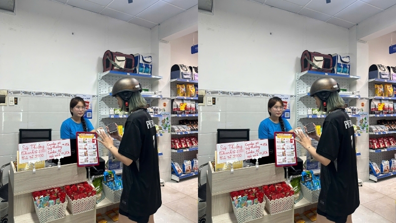 Pawo sẽ giúp hành trình chăm sóc Poodle trở nên dễ dàng và hiệu quả