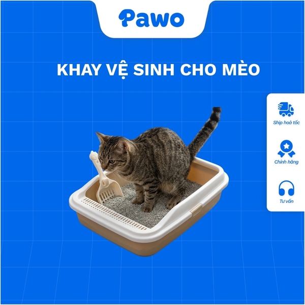 Khay vệ sinh thành cao giúp chắn cát bắn ra ngoài, tạo không gian riêng tư và thông thoáng cho mèo.