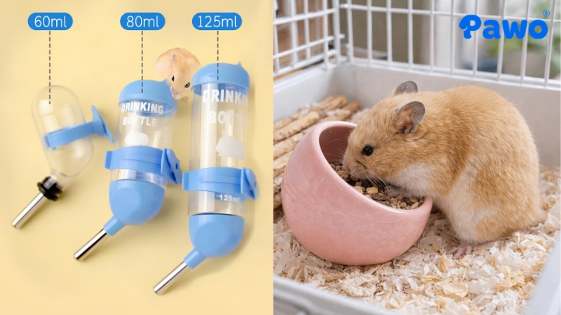 Đây là hai vật dụng cơ bản để cung cấp thức ăn và nước uống một cách sạch sẽ