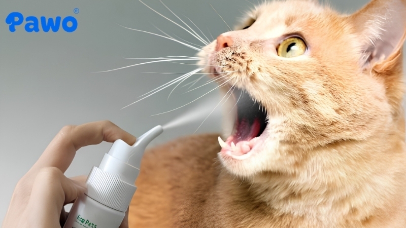 Xịt thơm miệng giúp diệt vi khuẩn và mang lại một hương thơm dễ chịu cho chó mèo