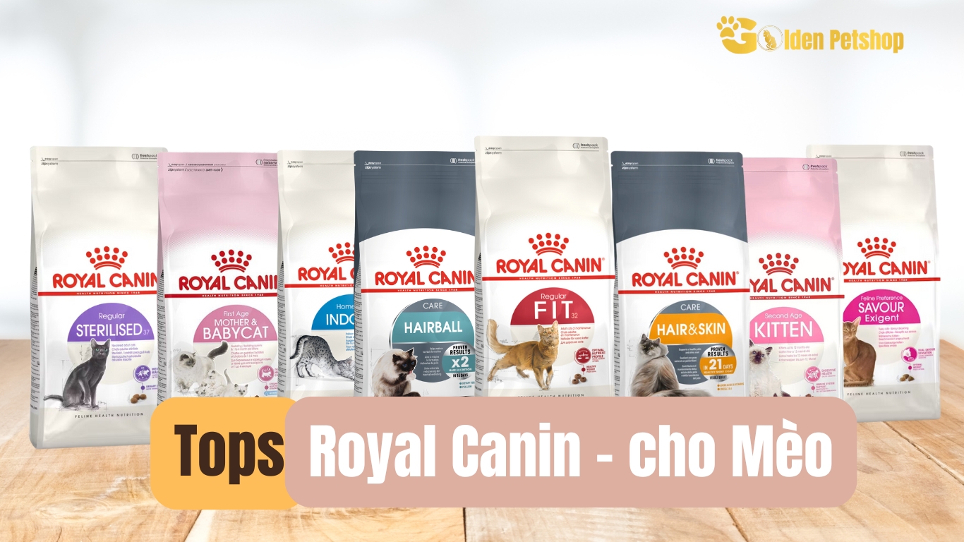 Hạt Royal Canin Cho Mèo - Như thế nào nhỉ?