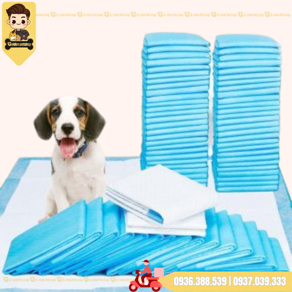 Tấm/ tả lót cho chó mèo đi vệ sinh, lót ổ đẻ - Nhiều kích cở