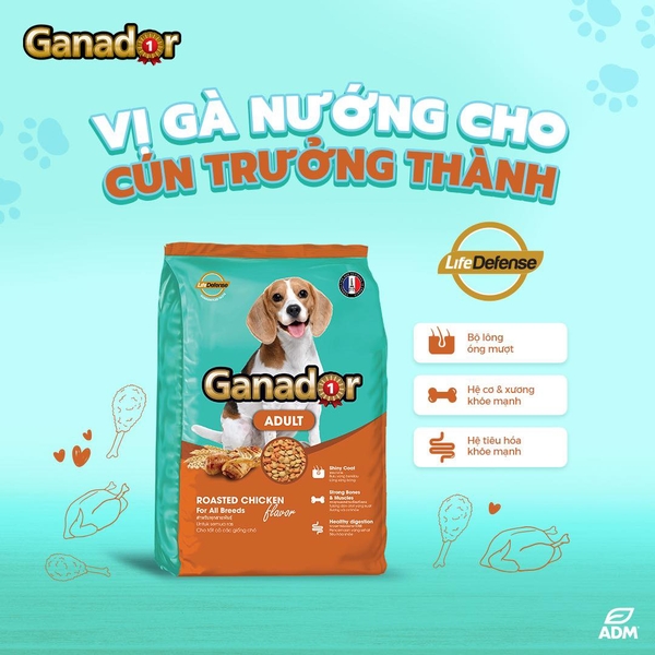 Thức ăn cho chó lớn vị gà nướng - Ganador