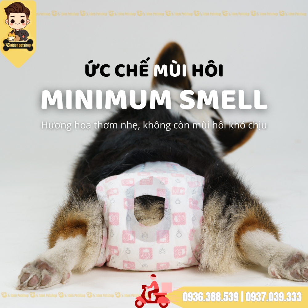 Tả, Bỉm cho chó Cái Fofos - Nhiều kích cở